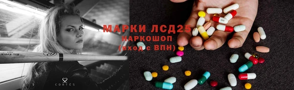PSILOCYBIN Няндома