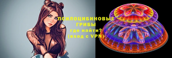 трава Нязепетровск