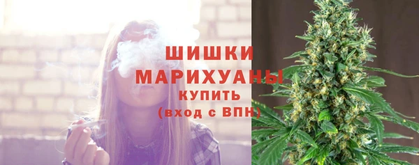 трава Нязепетровск