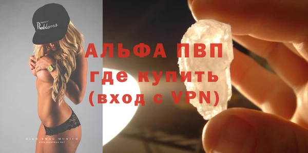 PSILOCYBIN Няндома