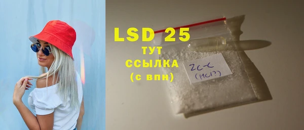 PSILOCYBIN Няндома