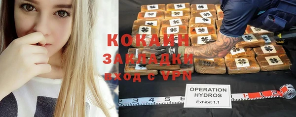 PSILOCYBIN Няндома