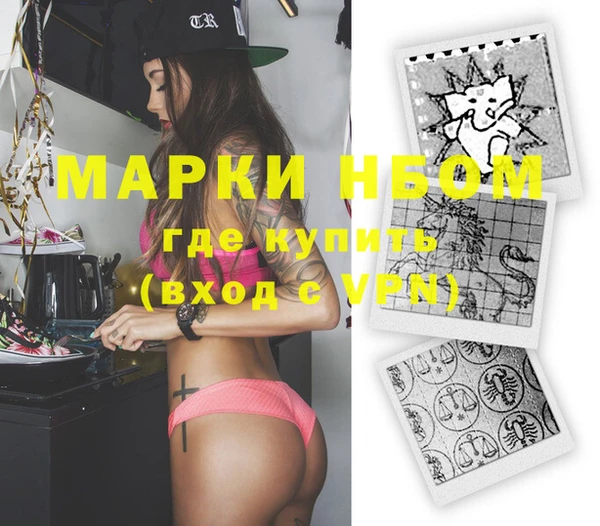 индика Новозыбков